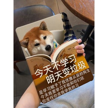 適用于ipad保護殼2022平板套10.2寸帶筆槽pro11硅膠mini6趣味狗2021創意文字10.9書本式ipad9/10十代air5/4/3