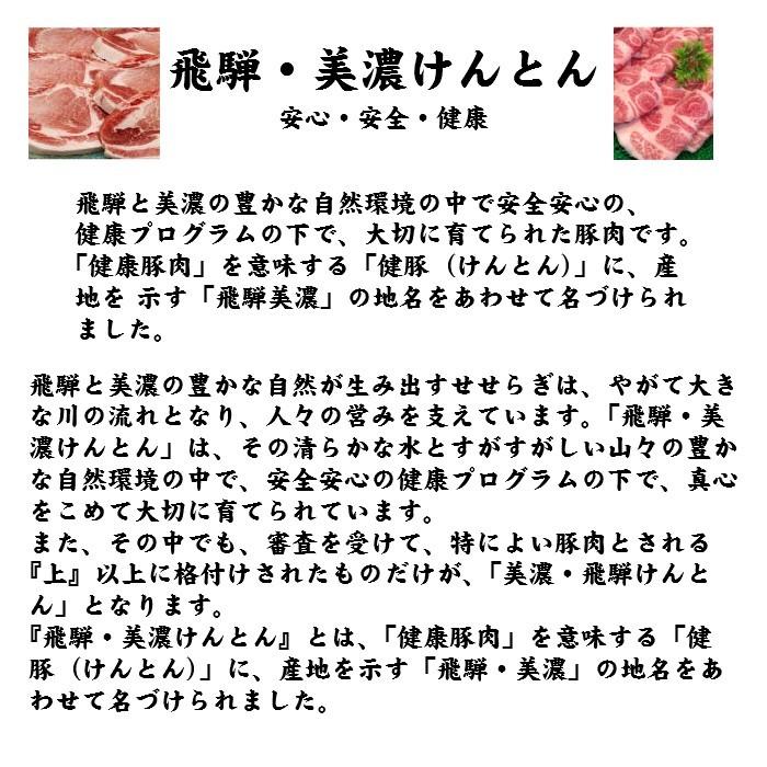 国産豚肉 豚ロース ステーキ肉 約200g 5枚  おいしい岐阜県産の豚肉 「けんとん豚」 トンテキ 豚カツ 焼肉 ギフトにも