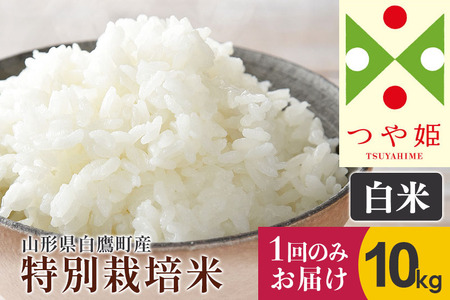 つや姫 10kg（特別栽培米）令和5年産 山形県産 しらたかのお米