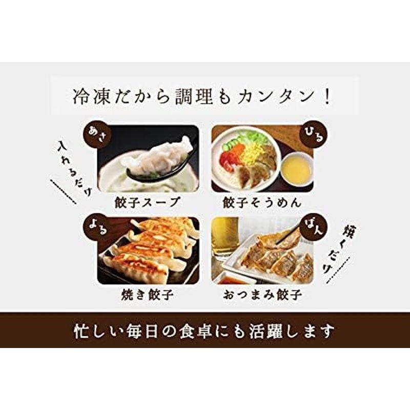 大豆ミート 餃子 40個入 soy meat gyoza