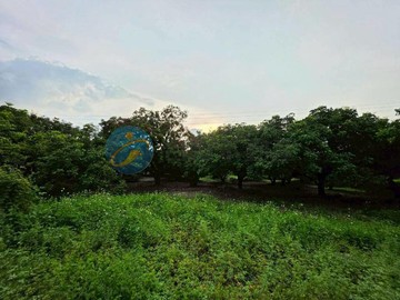 近東山派出所8.24分有水有電休閒農牧用地｜台南市東山區前大埔