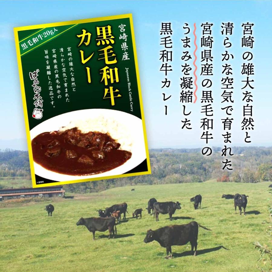 [ばあちゃん本舗] レトルトカレー 宮崎県産黒毛和牛カレー 160g  ビーフカレー 黒毛和牛 本格 贅沢 ご褒美 うまみ コク スパイス 宮崎牛