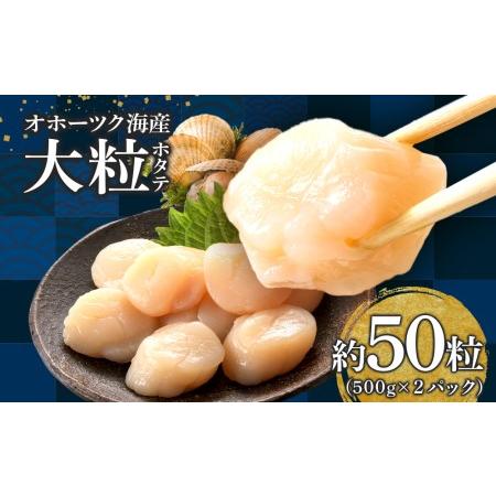 ふるさと納税 ほたて 貝柱 冷凍 大粒 冷凍 500ｇ(20〜25粒前後)×2パック お取り寄せ 刺身 《横田水産》 北海道浜頓別町