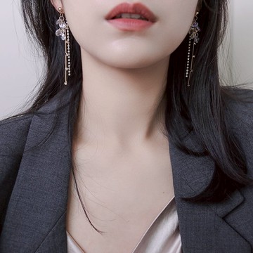 S925銀針后掛式鋯石流蘇耳環韓國長款甜美百搭時髦小眾顯臉瘦耳飾1入