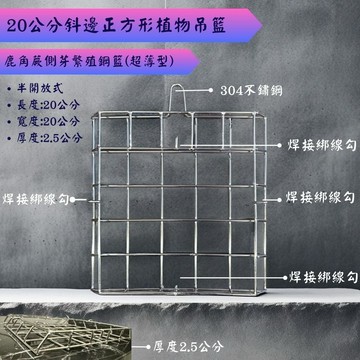 🚚公司出貨附發票『20cm斜邊鋼籃』🌟不鏽鋼、繁殖、側芽、蘭花、鹿角蕨、板材、木板