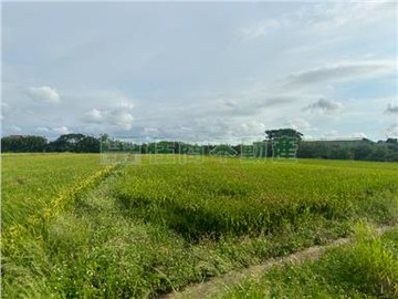 鄰近新屋市區美農地｜桃園市新屋區新屋段後湖小段