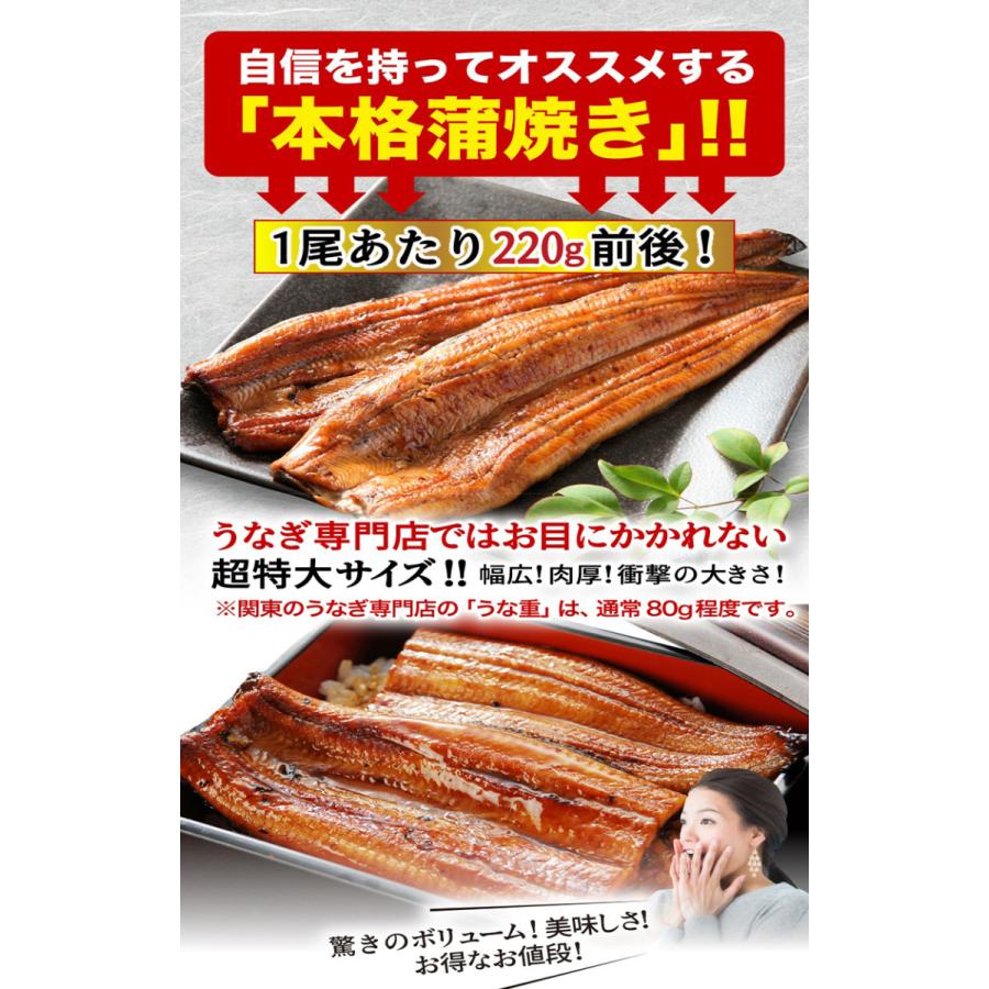 父の日 プレゼント ギフト うなぎ  食べ物 蒲焼き 国産  超特大蒲焼き(215g以上)2本 鹿児島産 海鮮 魚介 高級 グルメ 60代 クール