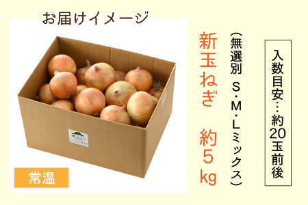 2024年6月発送  採れたて 新玉ねぎ 5kg（サイズ S M L ミックス）田んぼで育てた甘くて柔らか自慢の玉ねぎ！／ 常備 野菜 玉葱 たまねぎ 新鮮