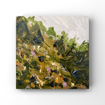 烏克蘭繪畫烏克蘭山地風景藝術喀爾巴阡草本植物野花