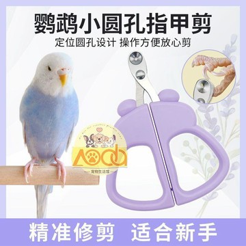 🥇鸚鵡專用指甲剪爪子鳥用虎皮指甲剪靜音玄鳳牡丹修指甲小鳥磨甲