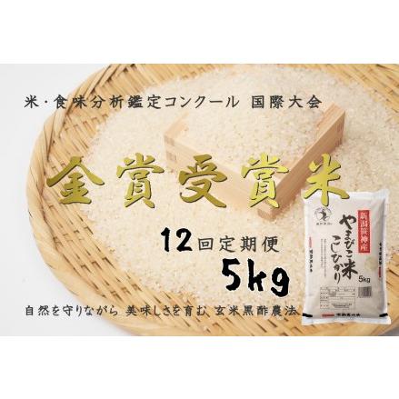 ふるさと納税 コシヒカリ「やまびこ米」5kg×12回 玄米黒酢農法 金賞受賞 特別栽培米 白米 精米 農家直送 新米は.. 新潟県阿賀野市