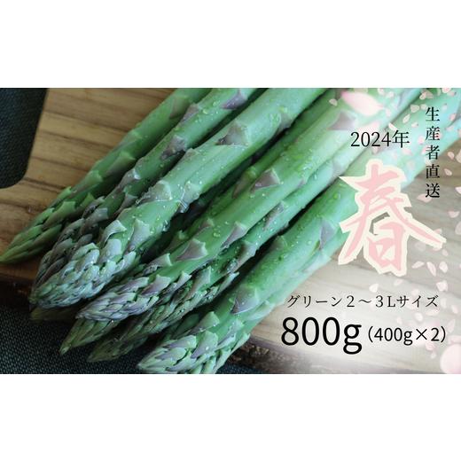 ふるさと納税 北海道 赤井川村 朝採りアスパラ800g（400g×2袋 鮮度保持袋入り）