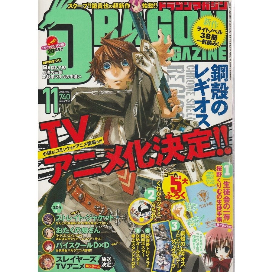 ドラゴンマガジン 2008年11月号 ―「鋼殻のレギオス」TVアニメ化決定大特集