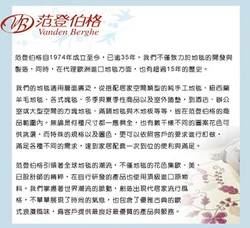 范登伯格 【范登伯格】獨特圈狀耐磨PVC多色戶外刮泥地墊-60x90cm(2x3尺)