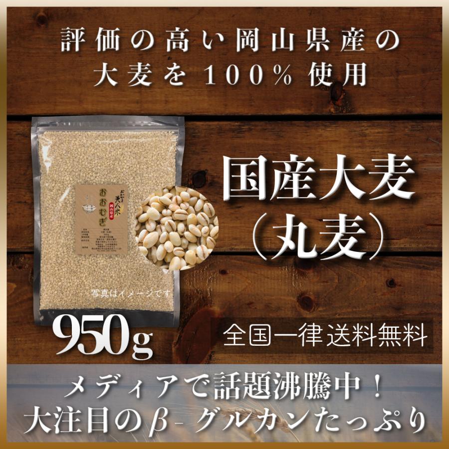 雑穀　ポイント消化　雑穀米　令和4年　もち麦の代わりに　950g　米　LINEポイント最大0.5%GET　岡山県産　大麦(丸麦)　通販　送料無用　安い　ぽっきり　お試し　LINEショッピング