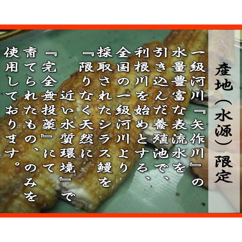 うなぎ　蒲焼き　国産　炭火焼　特大　２本セット　送料無料 三河うなぎを自家製だれでじっくりやきあげました。条件付きプレゼントあり