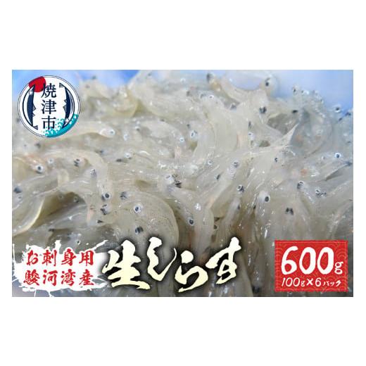 ふるさと納税 静岡県 焼津市 a10-653　お刺身用駿河湾産生しらす600g（100g×6パック）