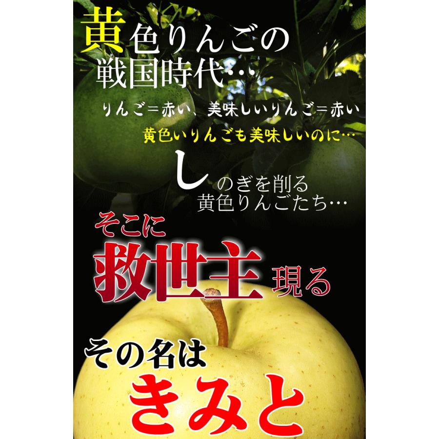 あすつく クーポンで100円引き 青森 りんご 3kg箱 きみと 送料無料 家庭用 訳あり 青森 リンゴ 訳あり 3キロ箱★きみと 家訳 3kg箱