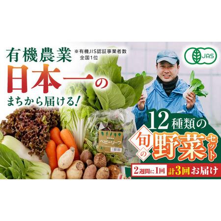 ふるさと納税  有機野菜 12種セット 詰め合わせ 野菜詰め合わせ 熊本県産有機野菜 山都町産有機野菜 産地直送 高原野菜 新鮮.. 熊本県山都町