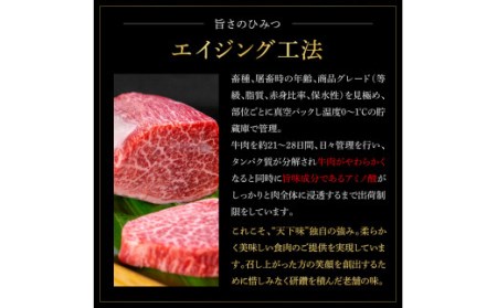 天下味 エイジング工法 熟成肉 土佐和牛 特選ヒレ 牛 サイコロステーキ 500g×4 合計2kg エイジングビーフ ヒレ フィレ 国産 肉 牛肉 和牛 人気老舗焼肉店 冷凍 新鮮 真空パック 高級 高知 高知県 芸西村 故郷納税 268000円 返礼品 贈り物 贈答 ギフト