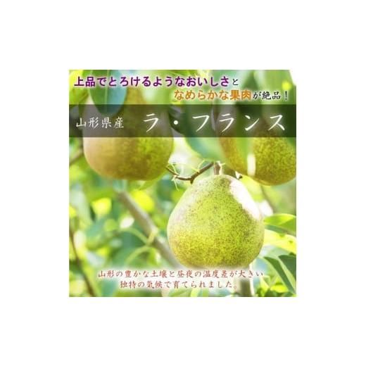 ふるさと納税 山形県 中山町 山形県中山町産 大粒「ラ・フランス」3kg(6〜10玉)