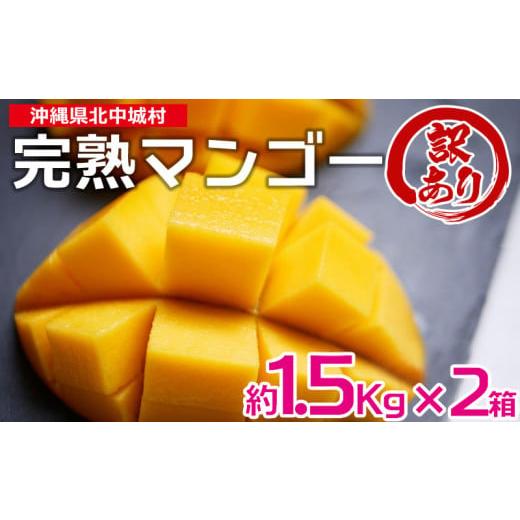 ふるさと納税 沖縄県 北中城村 訳あり品！沖縄県北中城村　完熟マンゴー約1.5Kg×2箱沖縄 果物 訳あり フルーツ くだもの 数量限定…