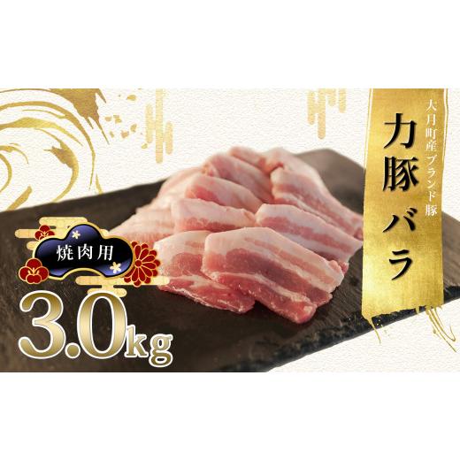 ふるさと納税 高知県 大月町 力豚バラ　焼き肉用 3kg