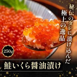 ふるさと納税 北の味覚海鮮3点定期便 いくら250g サーモン400g ほたて500g 海鮮丼 セット 鮭 シャケ サケ 魚卵 海鮮 海鮮セット 海鮮醤油漬 刺身.. 北海道釧路市