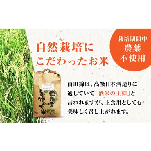 ふるさと納税 佐賀県 武雄市 栽培期間中農薬不使用 令和5年産 新米 山田錦 玄米 5kg 武雄市／鶴ノ原北川農園 [UDL005]