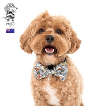 澳洲Pablo & Co 寵物領結 南法向日葵