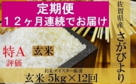 K-5 《12ヶ月毎月お届け》鹿島市産さがびより　玄米５ｋｇ定期便