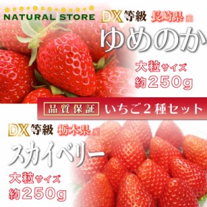 [予約 2024年2月15日-2月22日の納品] 遅れてごめんねバレンタイン ゆめのか × スカイベリー 約250g× DX 大粒 苺 食べ比べ いちご