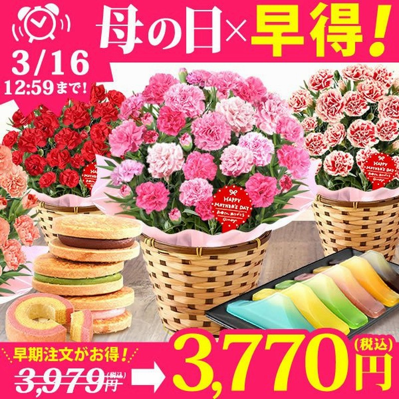 母の日 22 プレゼント スイーツ 花 カーネーション ギフト 鉢植え 5号鉢 お菓子 洋菓子 和菓子 花とスイーツ ギフトランキング 60代 70代 80代 通販 Lineポイント最大0 5 Get Lineショッピング