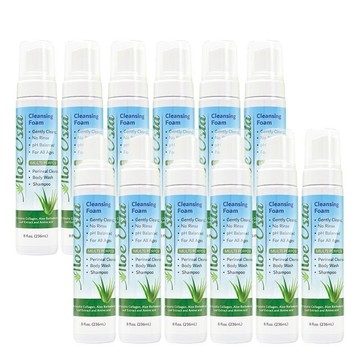 抗菌液/抗菌噴霧 康威  蘆薈清潔泡沫 236ml (12入)