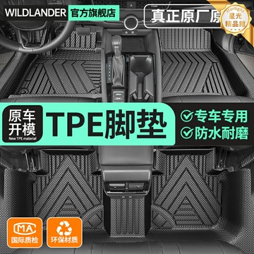 【專車專用】雷克薩斯NX腳墊 汽車腳墊 全包圍腳墊 TPE腳墊 環保無異味 雙層可拆卸 防水防滑 專為NX車型定製