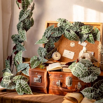 掬涵仿真秋海棠葉藤條綠植花藝纏繞壁掛藤蔓森系熱帶雨林植物景觀