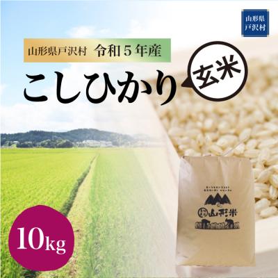 ふるさと納税 戸沢村  コシヒカリ  10kg(10kg×1袋) 山形県 戸沢村