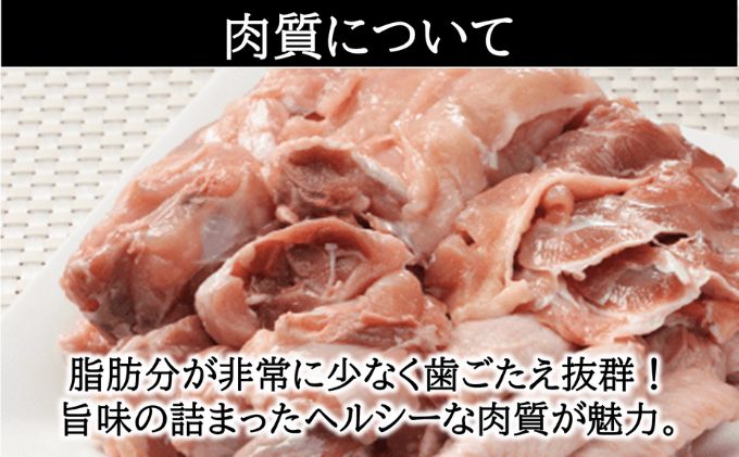 奥久慈 しゃも肉 詰め合わせ お肉 鶏肉