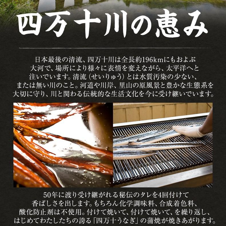 うなぎ 四万十うなぎ 超特大サイズ 国産 蒲焼き 長焼き 約200g