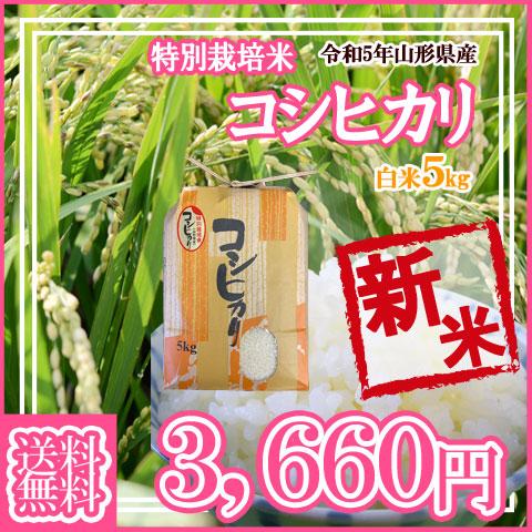 令和5年産 新米 送料無料 山形県産 特別栽培米 コシヒカリ 白米 5kg 安全で確かなものを食卓へ 5キロ 五キロ お米 おこめ