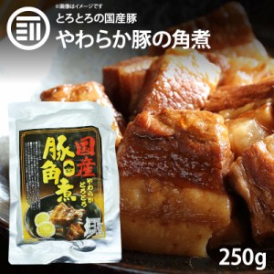 [前田家]  やわらかとろとろ 豚角煮 250gx1袋 国産豚 豚の角煮 煮豚 煮込み料理 レトルト 惣菜 煮物 おかず 常温 食品 おつまみ 酒の肴