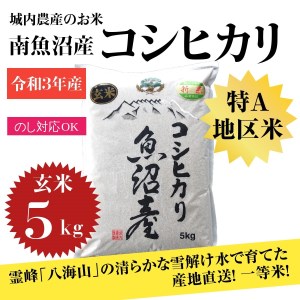 新潟県 南魚沼産 コシヒカリ お米 こしひかり 玄米 のし 贈り物  熨斗 贈答用 令和5年産 城内農産 特A地区米 5kg