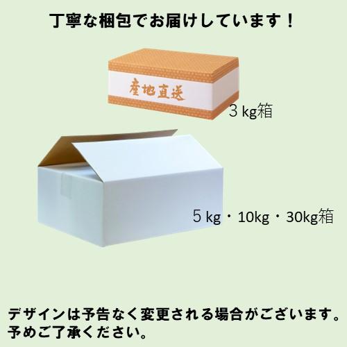 令和5年産　お米　ミルキークイーン　玄米　3kg　熨斗　しづくのしずく