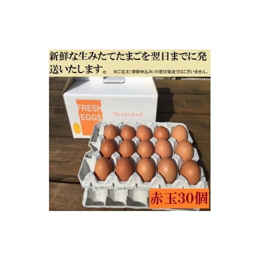 ふるさと納税 茨城県 古河市 AG03_江原ファーム　体に優しい地養卵（３０個）◆