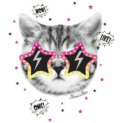 ねこ壁紙の通販 1 1件の検索結果 Lineショッピング