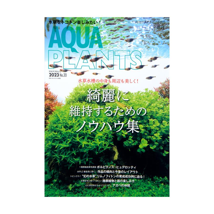 アクアプランツ NO.20 書籍 水草