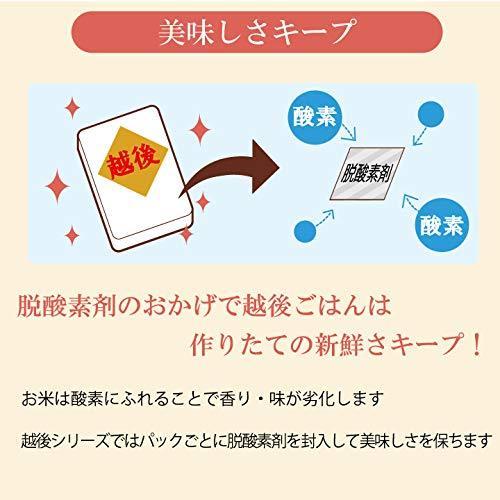 たんぱく質0.14ｇ 25越後ごはん小盛（140g×30個） たんぱく質調整 低たんぱく パックごはん レトルト