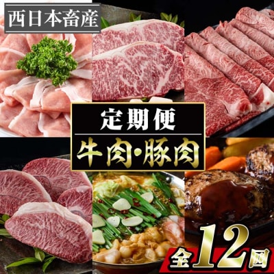 牛肉 豚肉 バラエティ定期便 (12か月毎月お届け)