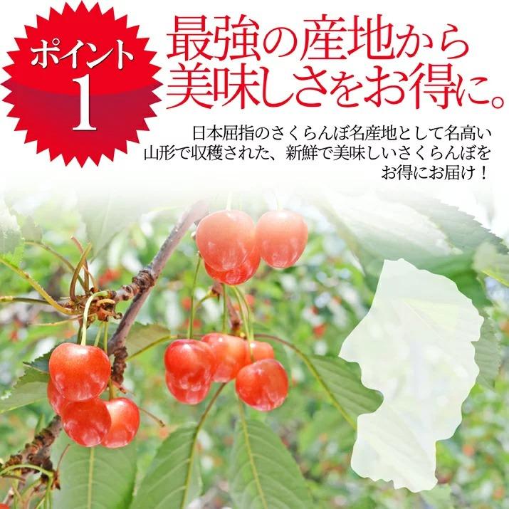 さくらんぼ 佐藤錦 Mサイズ 1kg 山形 秀品 2024 山形県産 サクランボ バラ詰め 化粧箱入 送料無料 (遠方送料加算) 産地直送 お中元 ギフト