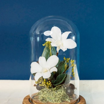 永生鬱金香 I 玻璃盅罩 I 愛與祝福